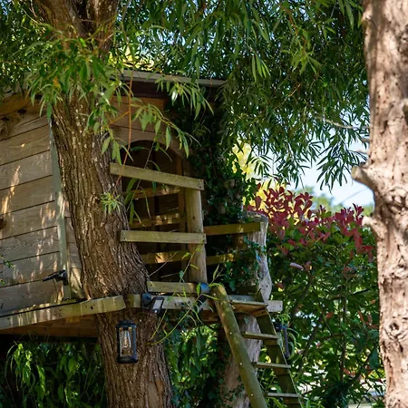 Les Jardins De Marcel - Maison En Pierre Avec Piscine - Thegoodbnb Montfarville